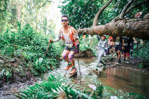 BIB: 
                            <button type="button" onclick="openModal(25515059)" class="btn btn-primary btn-sm float-right btn-popup" data-toggle="modal" data-target=".modal-high-quality">
                        <i class="fas fa-shopping-cart"></i> Add to Cart
                    </button>
                                            <button type="button" onclick="isThisMe(25515059, true)" class="btn btn-success btn-sm float-right btn-popup btn-isme hidden" data-toggle="tooltip" data-placement="bottom" title="นี่คือรูปของคุณใช่ไหม คลิกที่นี่เพื่อเอาเข้าอัลบั้ม">
                        <i class="fas fa-plus"></i> Add to album
                    </button>
                    <button type="button" onclick="isThisMe(25515059, false)" class="btn btn-warning btn-sm float-right btn-popup btn-isnotme hidden">
                        <i class="fas fa-ban"></i> Remove from album
                    </button>